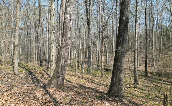 Pictures of Land property located at 10 Tilden Nursery Rd, Lexington, NC 27295 for sales - image #1