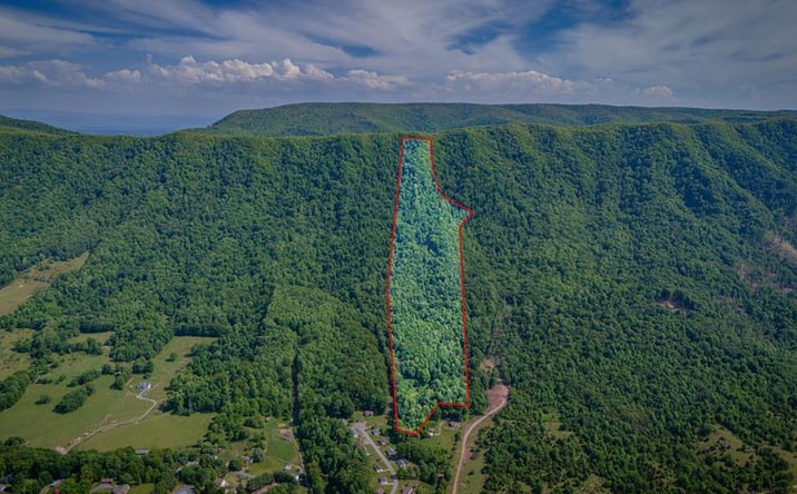 Pictures of Land, Multifamily property located at TBD S Cedar Acres, Lebanon, VA 24266 for sales - image #1