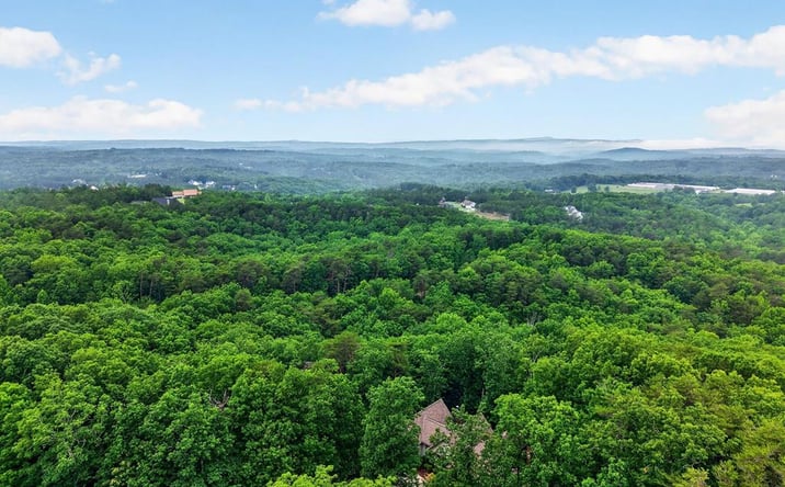 Pictures of Land property located at Ridgeside Court, Jasper, GA 30143 for sales - image #1
