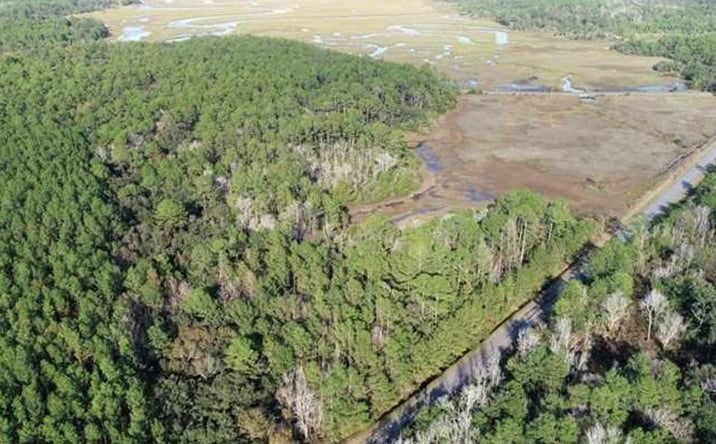 Pictures of Land property located at 0 Dover Bluff Road, Waverly, GA 31565 for sales - image #1
