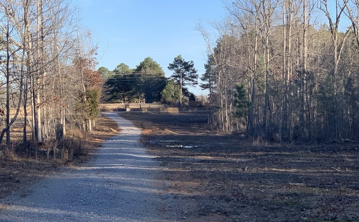 Pictures of Land property located at 4206 Summertown Hwy, Summertown, TN 38483 for sales - image #1