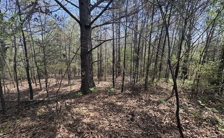 Pictures of Land property located at 0 Mill Ave, Hohenwald, TN 38462 for sales - image #1
