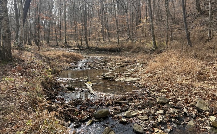 Pictures of Land property located at 298 Leonard Jackson Rd, Waynesboro, TN 38485 for sales - image #1