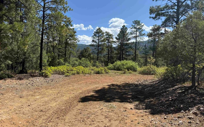 Pictures of Land property located at TBD Buckman Road Road, Chama, NM 87520 for sales - image #1