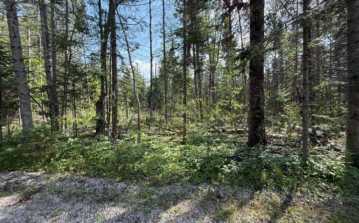 Pictures of Land property located at N Black River Rd, Cheboygan, MI 49721 for sales - image #1