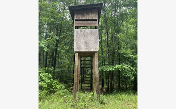 Pictures of Land property located at Lowenkamp Lane, Hazlehurst, MS 39083 for sales - image #1