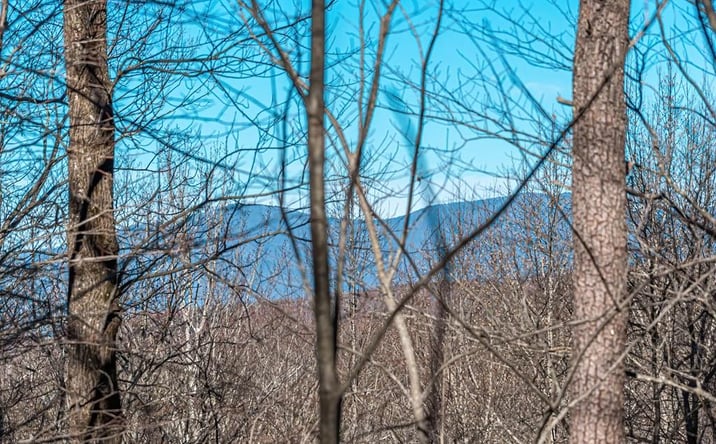 Pictures of Land property located at Lot 136 St Andrews Way, Ellijay, GA 30536 for sales - image #1