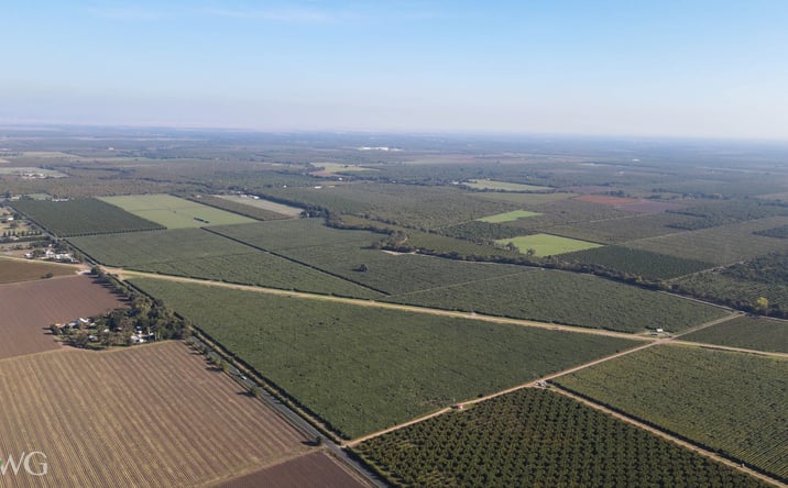 Pictures of Land property located at 12590 Live Oak Road, Lodi, CA 95240 for sales - image #1