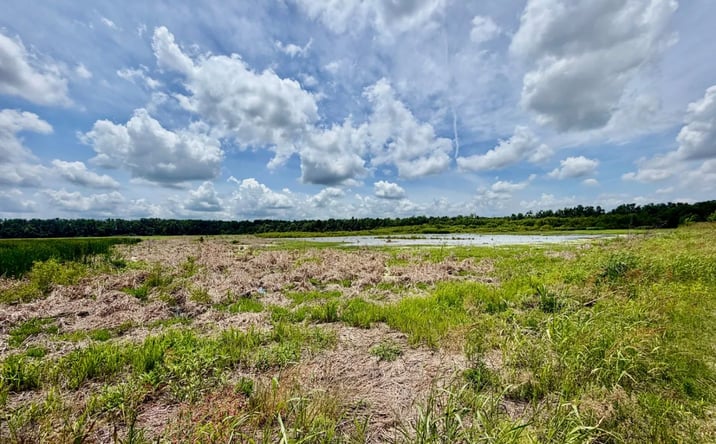 Pictures of Land property located at Airport Road, 69588, MS 38930 for sales - image #1