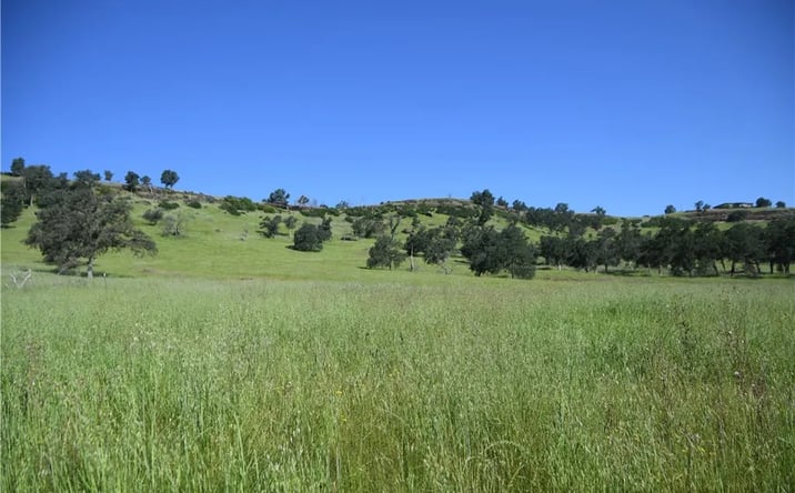 Pictures of Land property located at Cobble Creek, Butte Valley, CA 95965 for sales - image #1