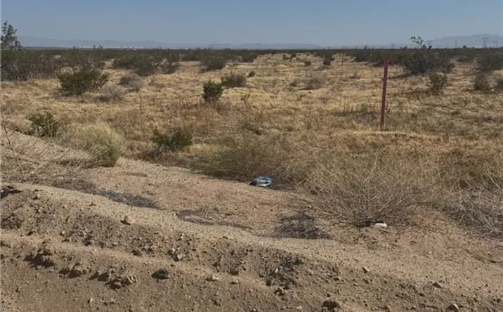 Pictures of Land property located at Shadow Mountain Rd, Helendale, CA 92342 for sales - image #1