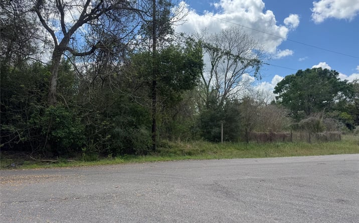 Pictures of Land property located at 0 County Road 898, West COlumbia, TX 77486 for sales - image #1