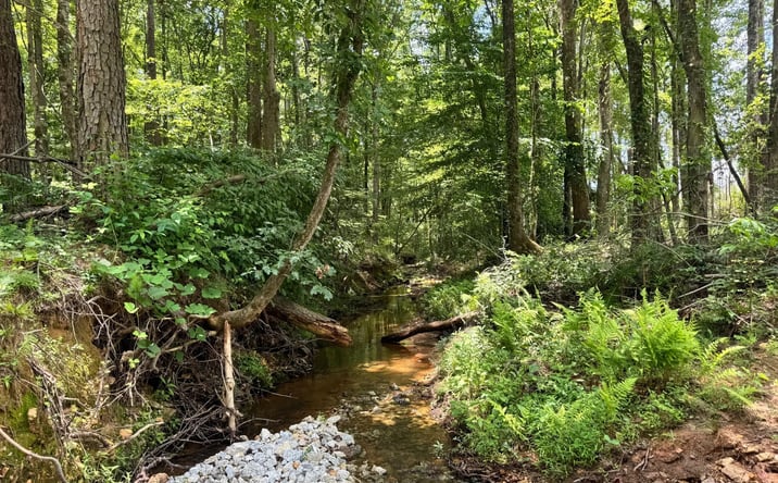 Pictures of Land property located at 319 +/- acres Hwy 100, Franklin, GA 30217 for sales - image #1
