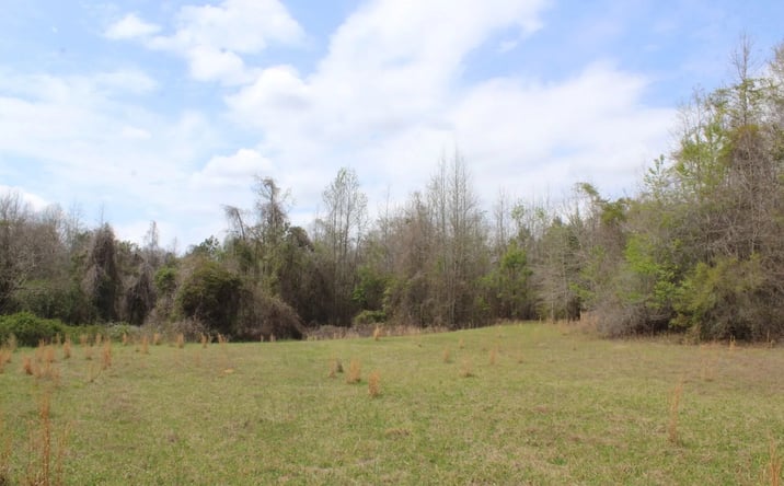 Pictures of Land property located at 337+/- ac Hwy 137, Buena Vista, GA 31803 for sales - image #1