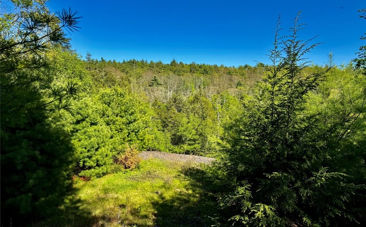 Pictures of Land, Multifamily property located at 101 Stone Road, Hurley, NY 12491 for sales - image #1