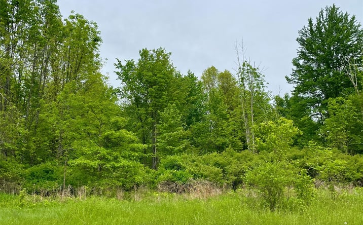 Pictures of Land property located at Orchard Drive, Plattekill, NY 12568 for sales - image #1