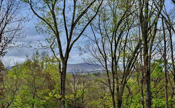 Pictures of Land, Mixed Use, Multifamily property located at Tbd Route 44/55, Kerhonkson, NY 12446 for sales - image #1