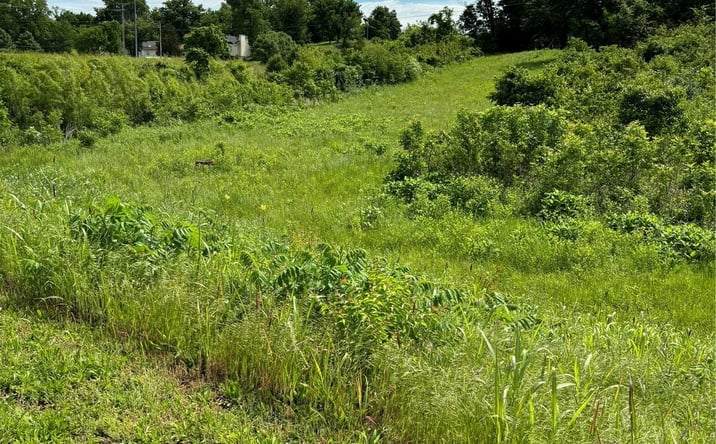 Pictures of Land property located at Lot 4 Quicktrip, Herculaneum, MO 63048 for sales - image #1