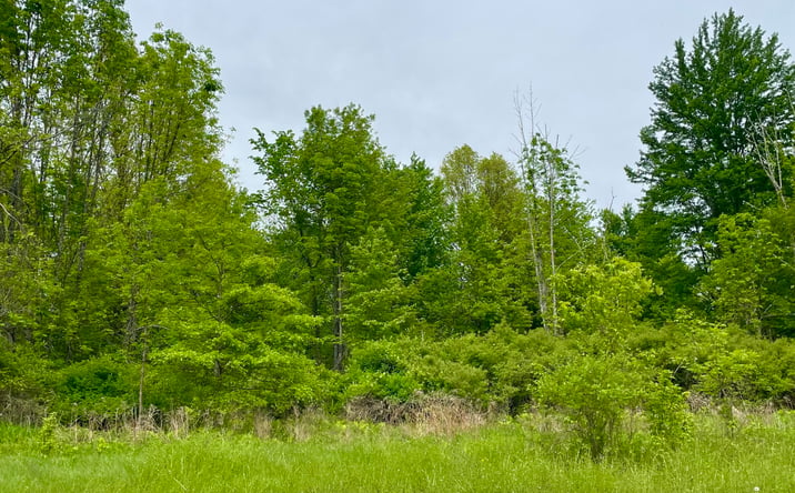 Pictures of Land property located at Tbd Orchard Drive, Plattekill, NY 12568 for sales - image #1