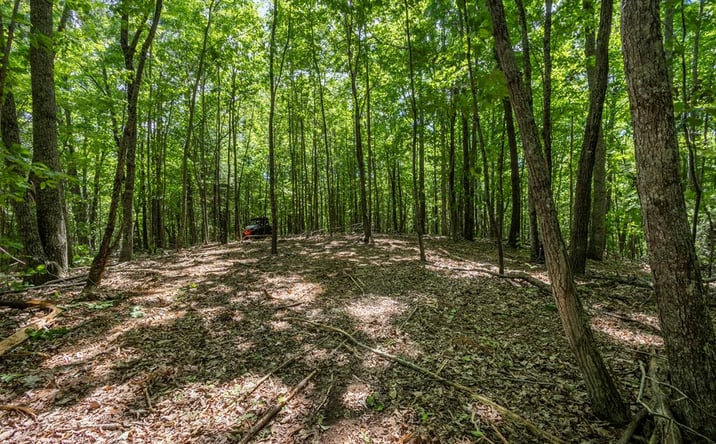 Pictures of Land property located at 20 Ac Pack Mountain Road, Murphy, NC 28906 for sales - image #1