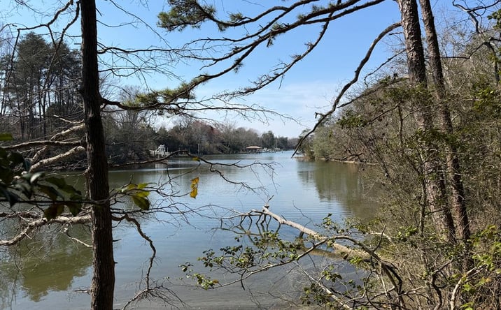 Pictures of Land, Special Purpose property located at Par 66 Whays Creek Road, REEDVILLE, VA 22539 for sales - image #1