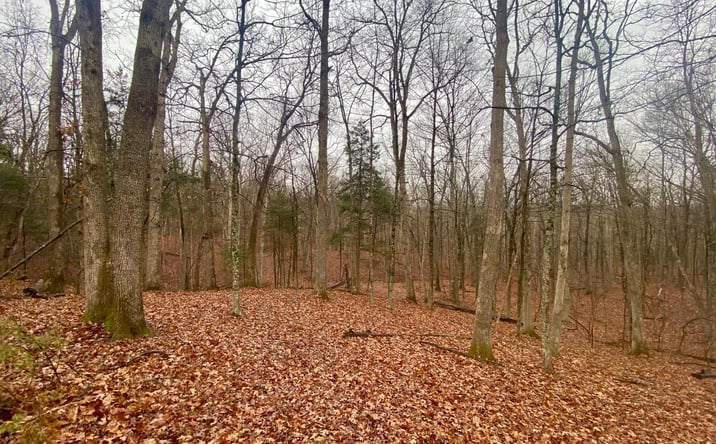 Pictures of Land property located at Rolling Woods Drive, West Union, OH 45693 for sales - image #1