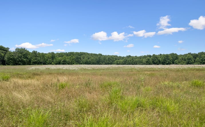 Pictures of Land property located at Bauer Road, Batavia Twp, OH 45103 for sales - image #1