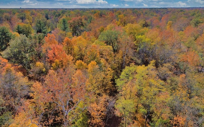 Pictures of Land property located at Goshen Road, Goshen Twp, OH 45122 for sales - image #1