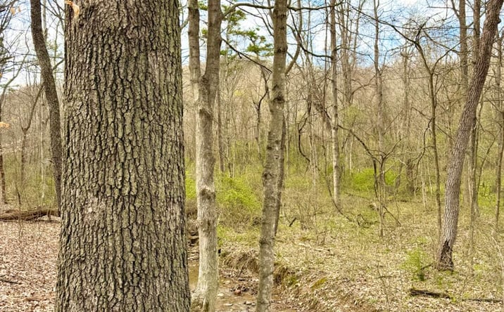 Pictures of Land property located at Fyffe Hollow Road, Franklin Twp, OH 45601 for sales - image #1