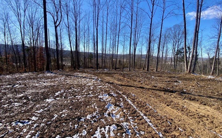 Pictures of Land property located at US Rt 52, Manchester, OH 45144 for sales - image #1