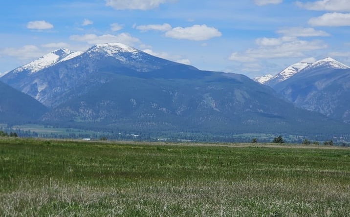 Pictures of Land property located at TBD Illinois Bench Road, STEVENSVILLE, MT 59870 for sales - image #1