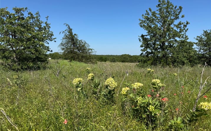 Pictures of Land property located at 2668 Buck Horn Road, Healdton, OK 73438 for sales - image #1