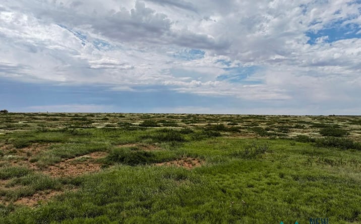 Pictures of Land property located at Dona Ana Road, Roswell, NM 88201 for sales - image #1
