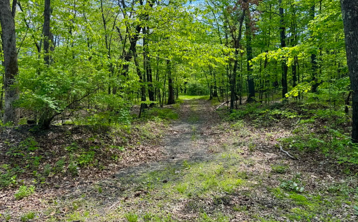 Pictures of Land property located at Tbd Bill Matter Road, Coxsackie, NY 12051 for sales - image #1