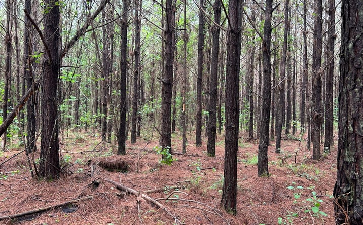 Pictures of Land property located at Halso Mill Road, Greenville, AL 36037 for sales - image #1