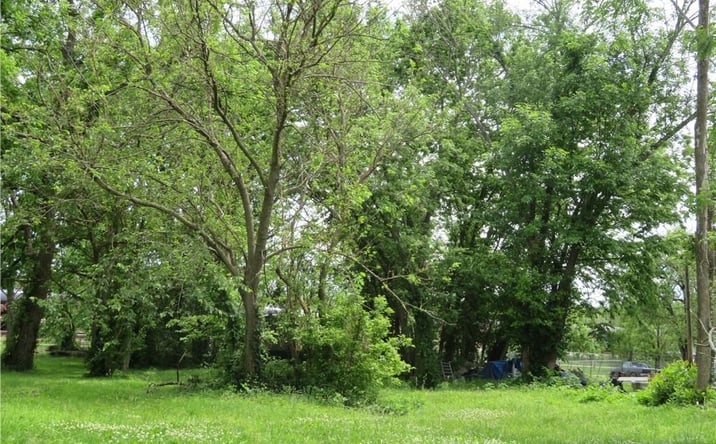 Pictures of Land, Multifamily property located at 809 Chestnut Avenue, Osawatomie, KS 66064 for sales - image #1