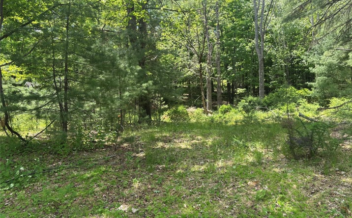 Pictures of Land property located at 400 Red Hill Road, Phillipsport, NY 12790 for sales - image #1