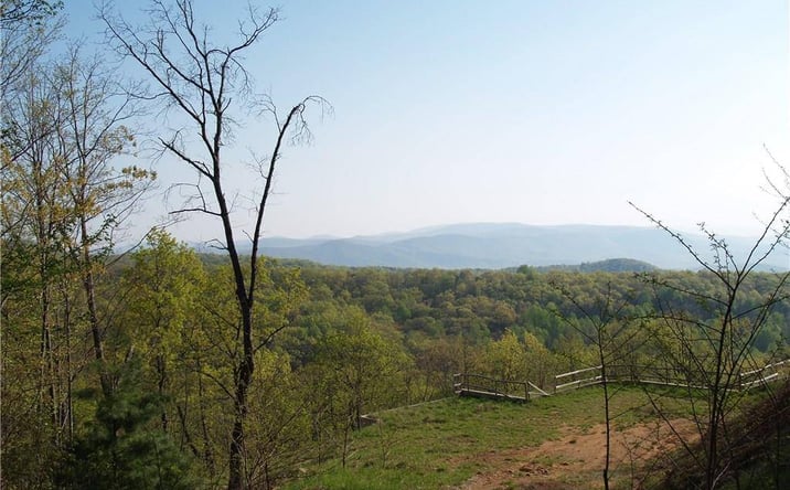 Pictures of Land property located at 0 LOWER SASSAFRAS PKWY, JASPER, GA 30143 for sales - image #1
