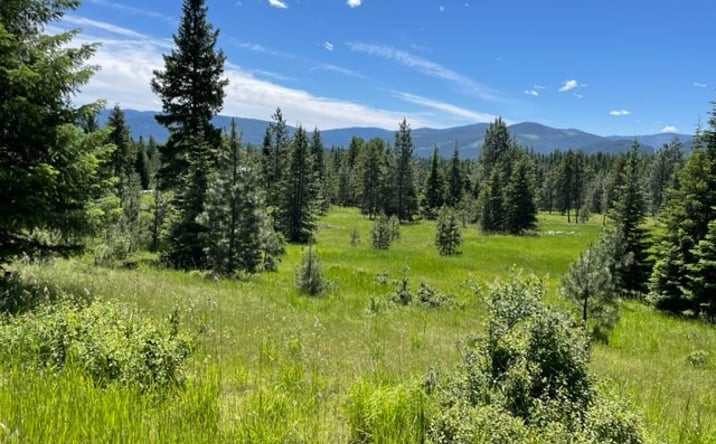 Pictures of Land property located at no address Green Mountain Road, TROUT CREEK, MT 59874 for sales - image #1