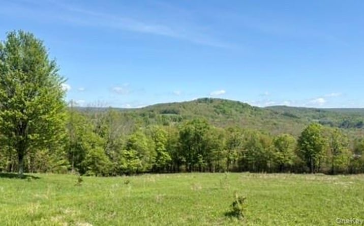 Pictures of Land property located at 52 E Hill Road, Jeffersonville, NY 12748 for sales - image #1