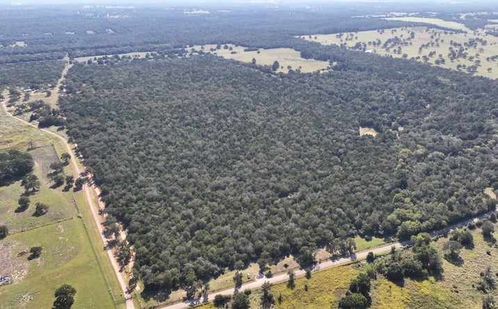 Pictures of Land property located at TBD Easley Rd, Smithville, TX 78957 for sales - image #1