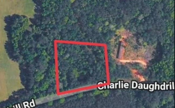 Pictures of Land, Multifamily, Special Purpose property located at 1 acre Charlie Daughdrill Road, Carriere, MS 39560 for sales - image #1