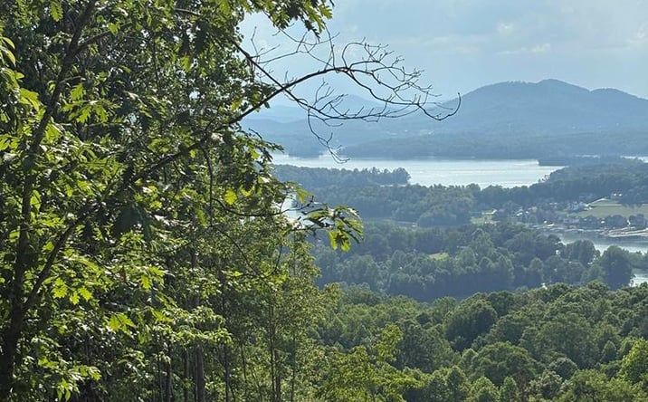 Pictures of Land property located at Lot 46 Dan Knob (Lot), Hayesville, NC 28904 for sales - image #1