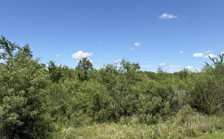 Pictures of Retail, Land property located at Highway 159 East, Bellville, TX 77418 for sales - image #1
