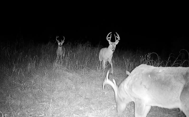 Pictures of Land property located at 50405 W 31st Street S, Oilton, OK 74030 for sales - image #1