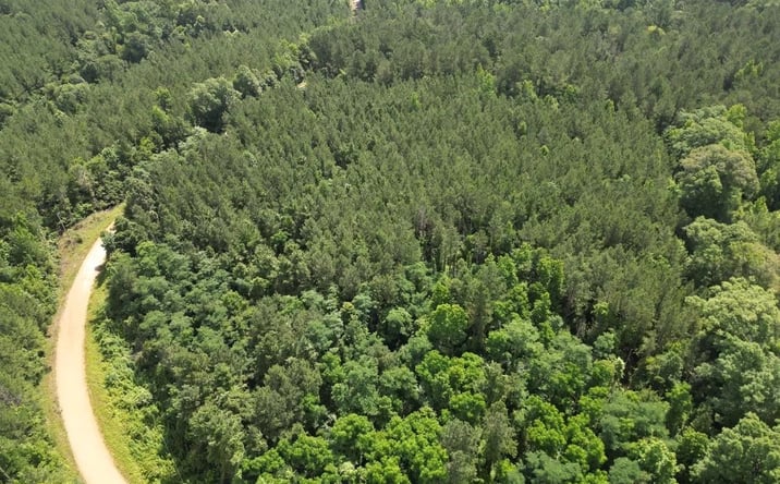 Pictures of Land property located at Beach Road, 70721, MS 39661 for sales - image #1