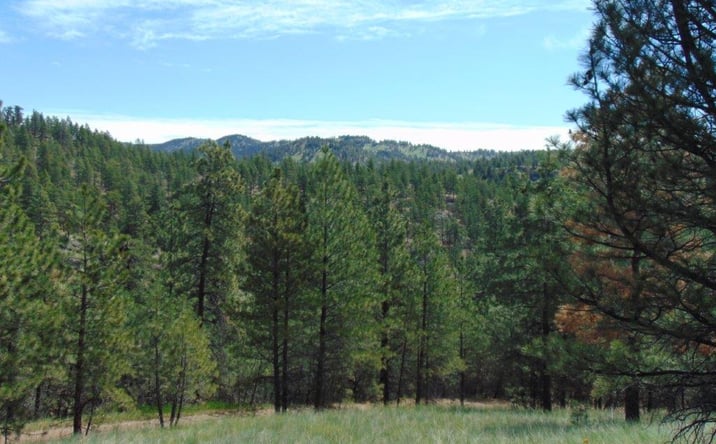 Pictures of Land property located at 19 Lookout Lane, CASCADE, MT 59421 for sales - image #1