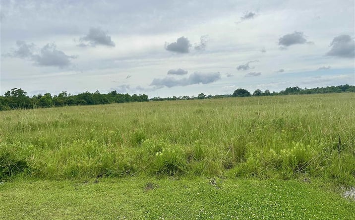 Pictures of Land property located at Carlile Lane, Lake Charles, LA 70607 for sales - image #1
