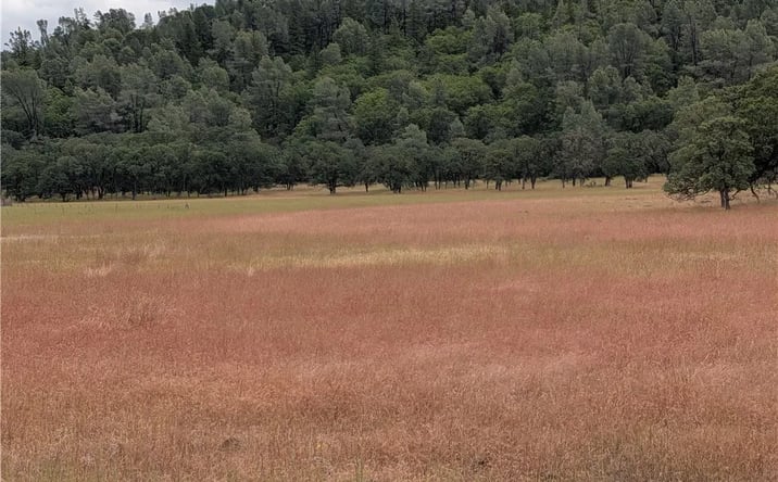 Pictures of Land property located at 19905 Jerusalem Grade, Lower Lake, CA 95457 for sales - image #1