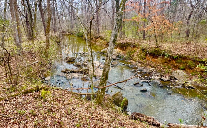 Pictures of Land, Multifamily, Special Purpose property located at A3 Camp Creek Road #Parcel A3, Lancaster, SC 29720 for sales - image #1